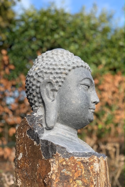 Boeddha Hoofd Beeldhouwwerk 105 cm