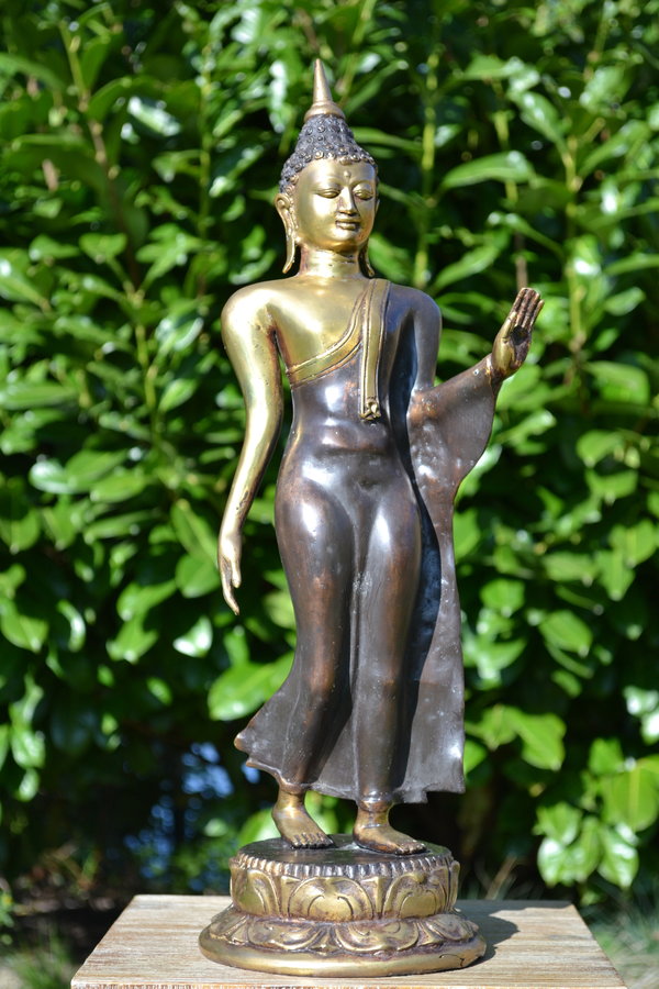 Boeddha Beeld Thai Brons Staand 50 cm