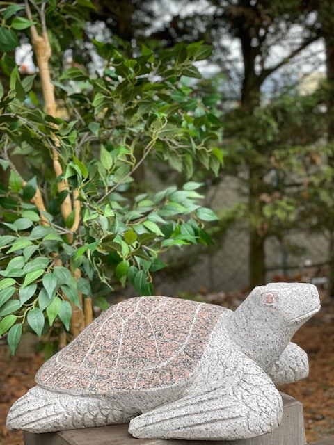 Tuinbeeld Schildpad Graniet 60 cm L.