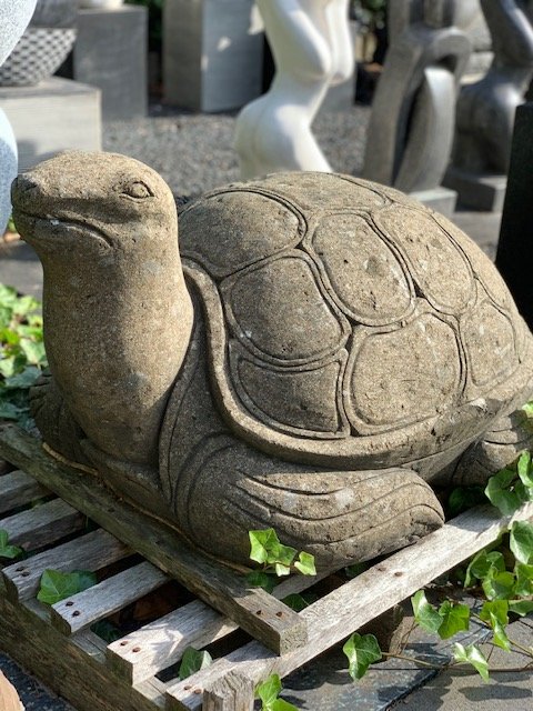 Schildpad Tuinbeeld Groot 100 cm L.