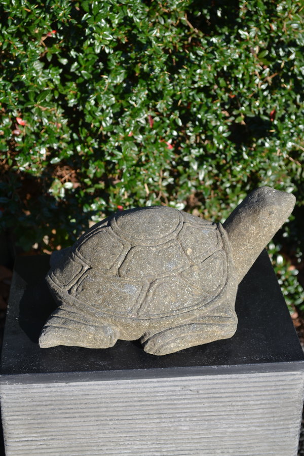 Schildpad Beeld 30 cm L.