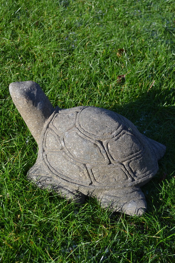 Schildpad Beeld 30 cm L.