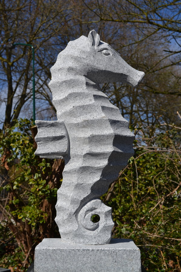 Zeepaardje Tuinbeeld Graniet 60 cm