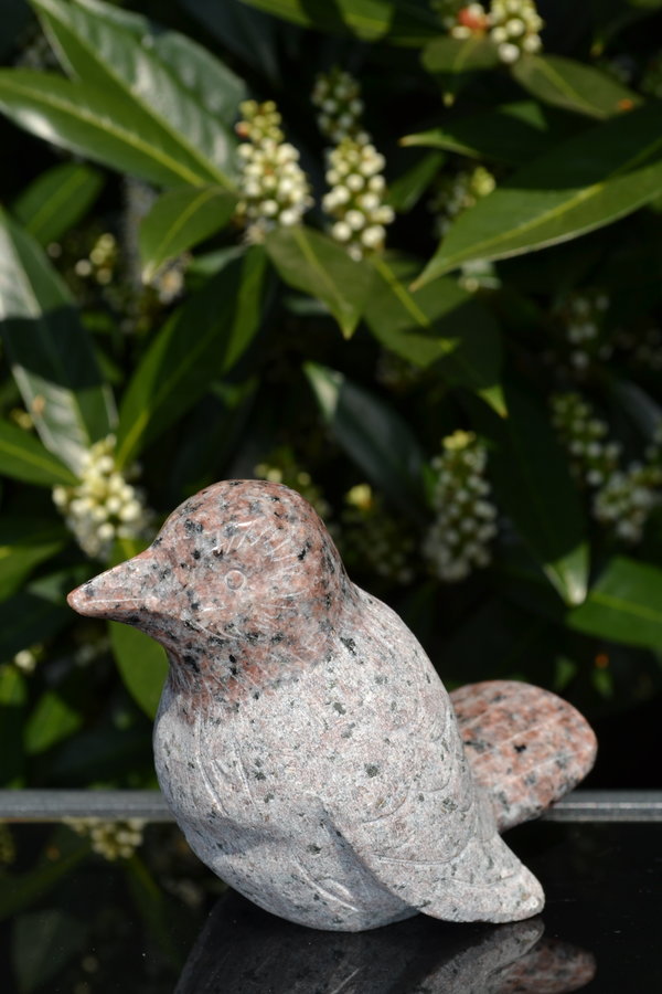 'Bird' Rood graniet 10 cm